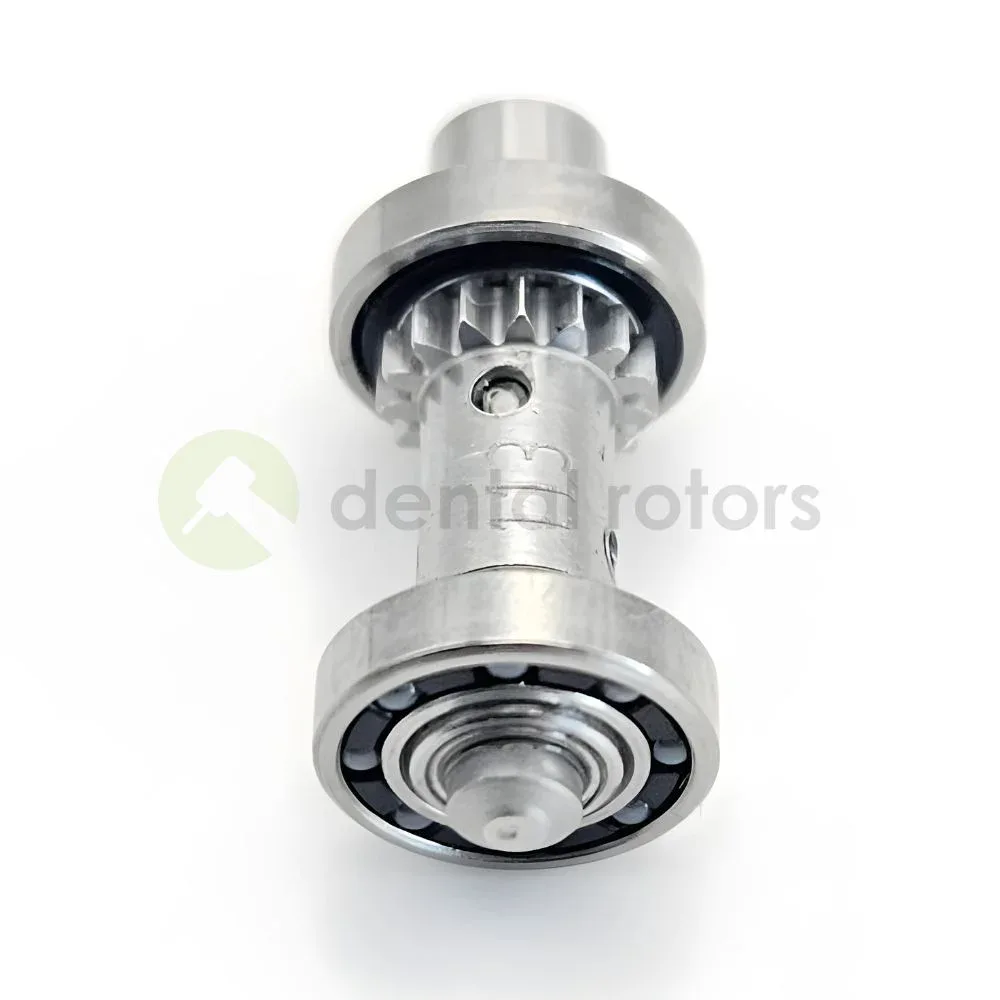 Nakrycie głowy dla W&H WG99LT-WK99LT